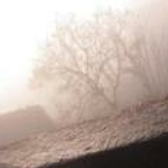 Selina Bachmann-Feuz