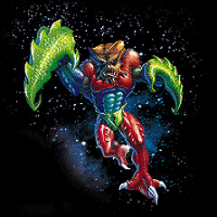 ザンディグスタイル