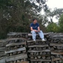 BLN91