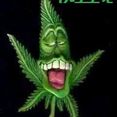 Alejandro Callejas Lopez