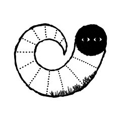 rhinothorn