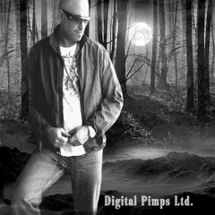 Digital-Pimps publishing