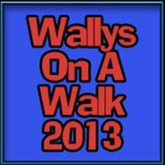 Wallys On A Walk