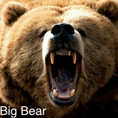 Dj BIG BEAR