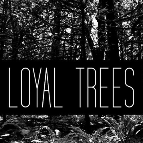 Loyal Trees’s avatar