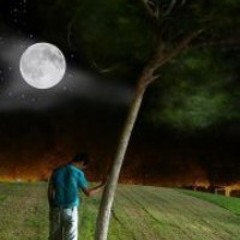 Sam Umair