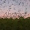 ∆bstract
