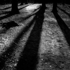 Martin Kivirand