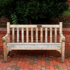 The park bench collective
