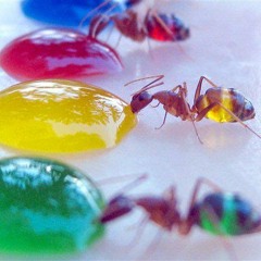 i like =)