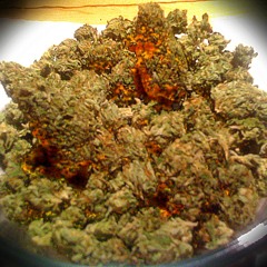 Lil D Dubb BallaHolic