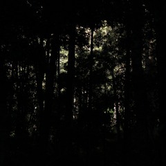 aaseance.blogspot.com