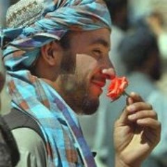 Prince Afghan