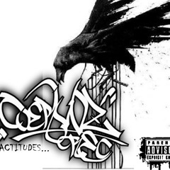 Actitudes (cuervoz rec)