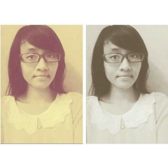 Shnt Putri