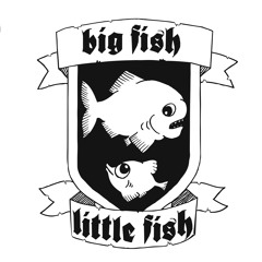 Big Fish Little Fish M.P.