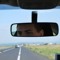 Radu Herea