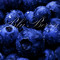 BluBerry