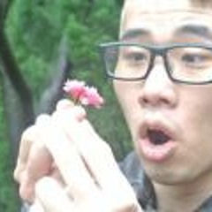 Stewart Lin 1