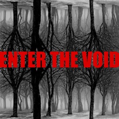 EnterTheVoid