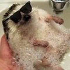 mitzimoozi