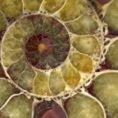 Lori7