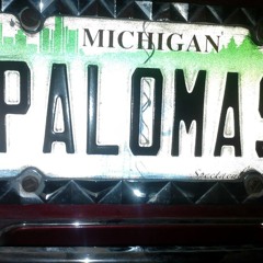 paltx13