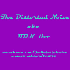 TheDistortedNoize