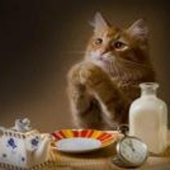 Oliver Villarreal Cuares