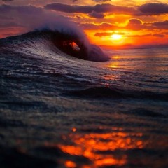 velvet underground-venus in furs