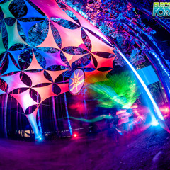 Whitney Michelle LaCroix