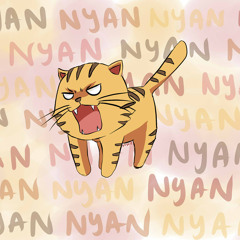 kittykoo2