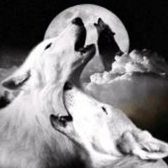 William Mrwolf Brandon