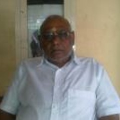 Raju Rangasubramoni