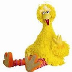 Paulo Sergio Ribeiro 3