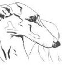 Ranlo Castellvi Castells