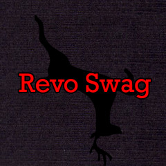 revo_swag