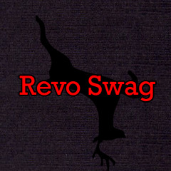 revo_swag