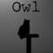 owl band