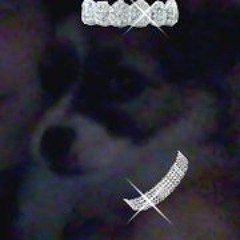 Ainhoa García Poleo