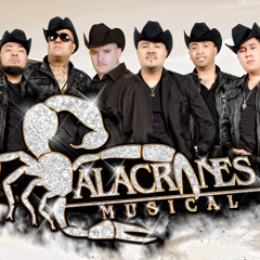 Alacranesmusical