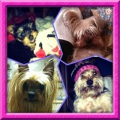 Kelley Cooper Shupert