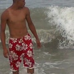 Sethasaurus Antoneyo