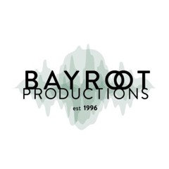 Bay Root Pros