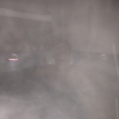 Young Assassin sounds