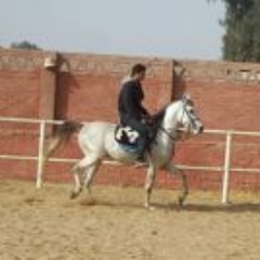 Mohamed Ashraf El-Nasser