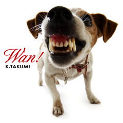 K.TAKUMI