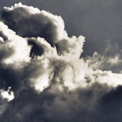 The Trademark Collection