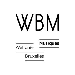 Nuits Sonores 2013
