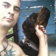 user8463836